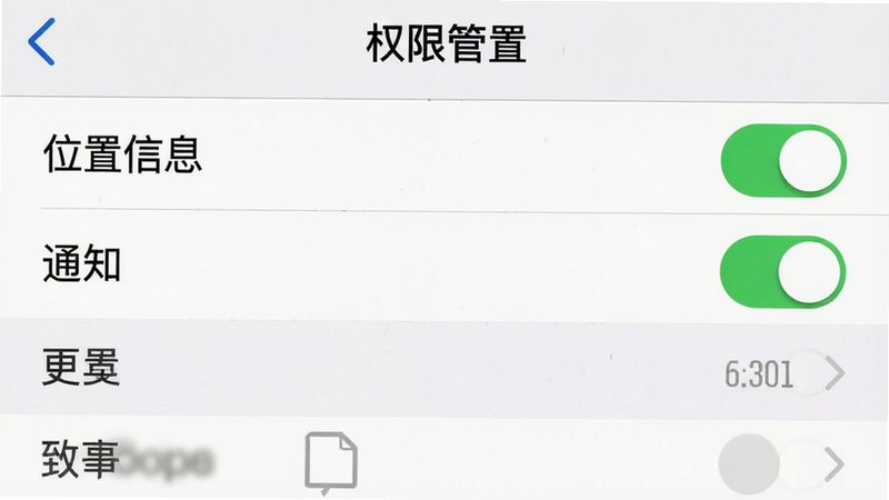主体为手机设置界面截图,显示“权限管理”页面,布局为列表形式,排版整齐,风格系统原生UI,细节为“位置信息”、“通知”等开关处于开启状态,画质清晰,无多余元素,文字“权限设置”清晰可见