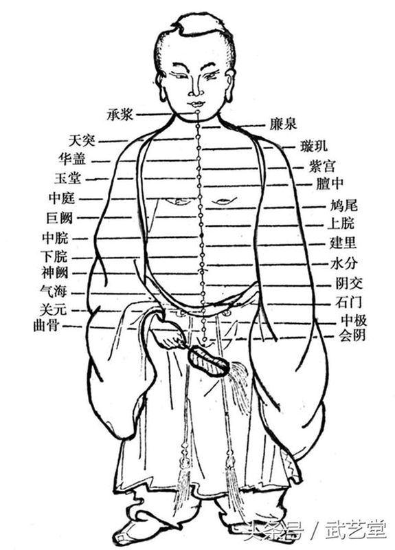 经络养生 安卓版 功能详解 穴位图