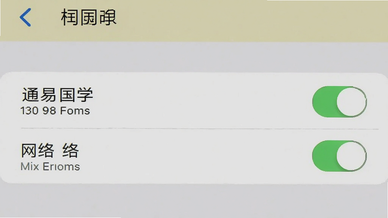 手机设置界面截图,显示应用权限管理页面,高亮显示“通易国学”的存储与网络权限开关,界面简洁,清晰,无多余元素