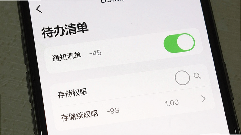 主体为手机设置界面截图,展示“待办清单”权限管理页面,布局包含通知开关、存储权限选项,风格简洁,细节显示权限已授予状态,画质清晰,干净,无多余元素