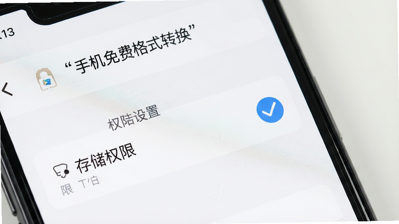 手机屏幕特写,显示“手机免费格式转换”APP的权限设置界面,勾选了存储权限,布局清晰,排版规范,风格简洁明了,细节显示勾选状态,画质清晰,干净,无多余元素,文字“权限设置”加引号