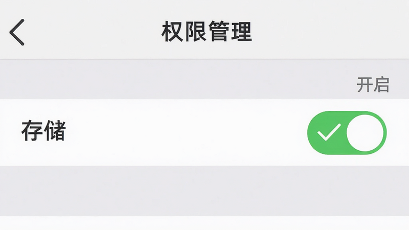 一张手机设置界面的示意图,显示“权限管理”页面,其中“存储”权限开关处于开启状态,旁边有一个绿色的对勾图标,界面设计简洁,字体清晰,背景为浅灰色,强调“权限”和“开启”的状态,画质高清,无多余装饰