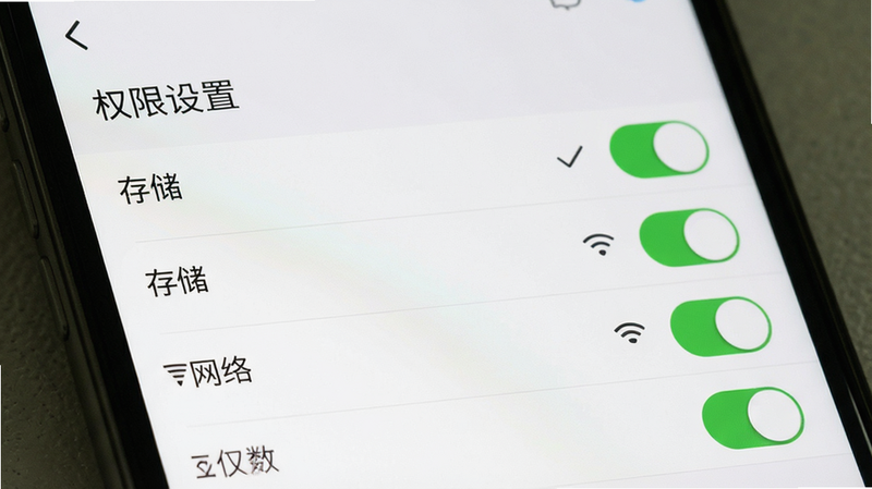 主体为手机设置界面,布局为权限管理列表,显示“存储”、“网络”等权限开关,排版为上下滑动列表,风格为系统原生UI,细节为权限勾选状态,画质清晰,干净无水印,文字“权限设置”加引号