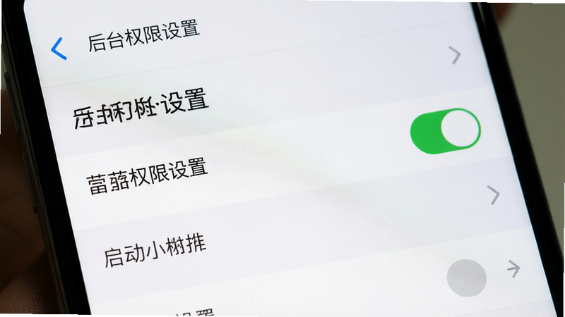 主体为手机设置界面截图,布局为列表形式,排版清晰,风格为系统原生UI,细节显示自启动开关为开启状态,画质高清,干净,无多余元素,文字标注