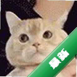 С�������