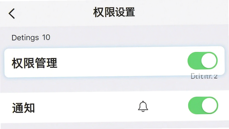 主体为手机设置界面截图,高亮显示“权限管理”与“通知”选项,布局为列表式设置项,排版简洁明了,风格为系统原生UI,细节包含开关按钮状态,画质清晰,干净,无多余元素,文字显示“权限设置”
