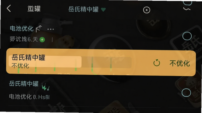 手机设置界面截图,显示“电池优化”列表,高亮显示“岳氏精中罐”被设为“不优化”,背景为深色模式,清晰展示设置路径,高清,无水印