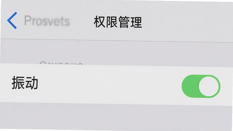手机设置界面截图,显示“权限管理”选项,其中“振动”权限已开启。背景为浅灰色,文字清晰,突出权限设置的重要性。画面简洁,无多余元素,高清细节,风格实用。