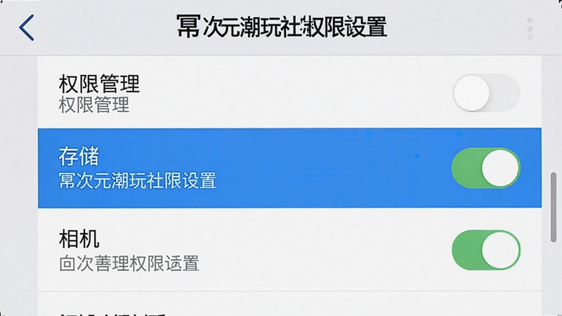 主体为手机设置界面截图,显示'权限管理'列表,高亮'存储'与'相机'权限,布局清晰,风格为系统原生UI,细节包含开关按钮状态,文字标注:'幂次元潮玩社权限设置',画质清晰,无多余图标