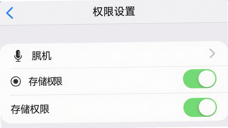 手机设置界面截图,主体为“权限管理”选项,布局清晰,风格简洁实用,细节包含麦克风、存储权限的开关状态,画质清晰,干净,无多余元素,文字显示“权限设置”
