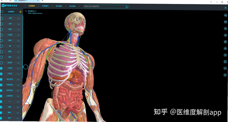 人体解剖学图集 安卓版 界面操作 截图