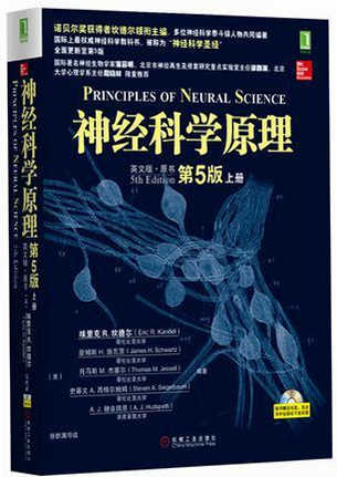 反应 安卓版 大脑神经科学原理图解