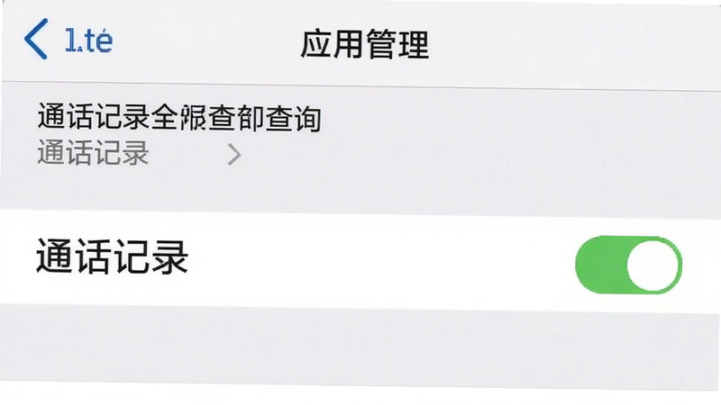 手机设置界面截图,显示“应用管理”中“通话记录全部查询”的权限设置页面,高亮显示“通话记录”权限已开启。界面简洁,文字清晰,背景为白色,风格官方UI,高清细节。