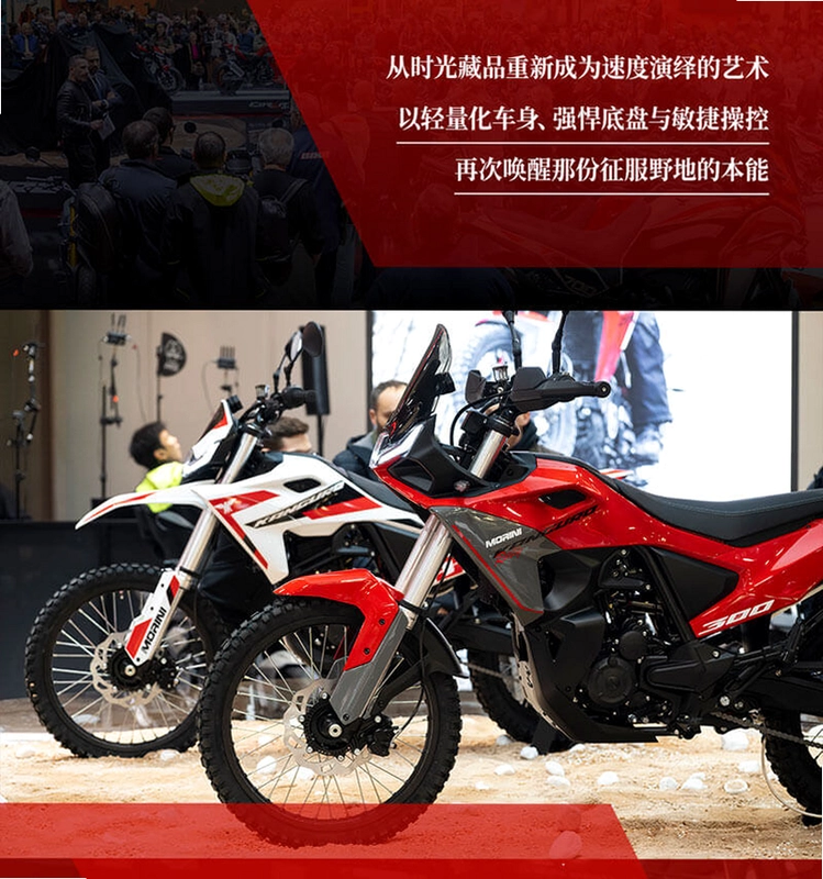 Ħ��Ī���� Morini��ͼ1