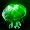 eggjelly�̾������ֻ���v2.5 ��Ѱ�