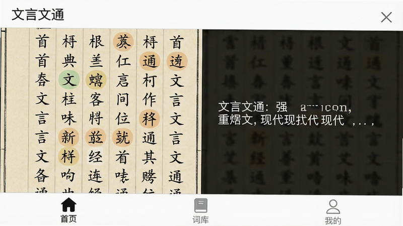主体为一款名为“文言文通”的手机应用界面截图,布局采用左侧经典古文原文竖排展示,右侧为对应现代汉语横排翻译,中间穿插重点字词高亮标记,排版整洁清晰,风格为简洁现代的扁平化设计,细节包含底部导航栏的“首页”、“词库”、“我的”图标,画质高清,干净无多余元素,屏幕显示文字“文言文通”