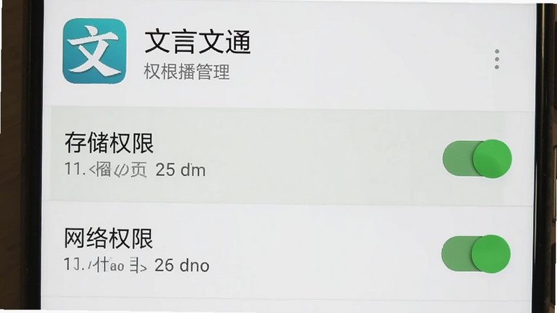 主体为手机设置界面截图,显示“文言文通”的权限管理页面,布局为列表形式,高亮显示“存储权限”和“网络权限”已开启状态,排版清晰,风格为安卓系统原生风格,细节显示开关按钮为绿色开启状态,画质清晰,无多余图标,文字“文言文通”在应用名称处