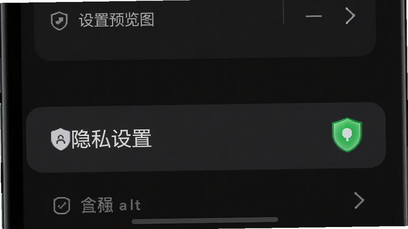 手机界面展示设置页面,高亮显示“隐私设置”选项,旁边有一个绿色的盾牌图标,背景为深色模式,布局垂直排列,排版严谨,风格科技安全,细节明确,画质高清,无多余元素,alt=