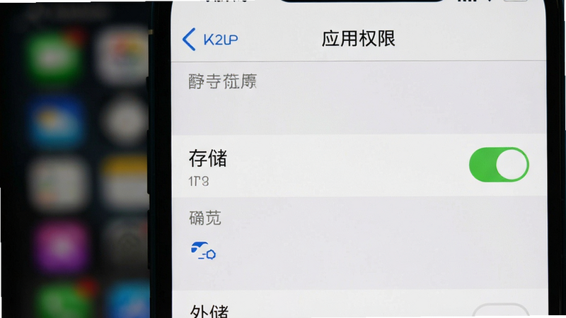 手机设置界面,显示“应用权限”管理页面,高亮显示“存储”权限开启状态,背景模糊,风格实用主义,文字清晰,画质高,无多余图标