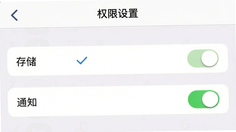 主体为手机设置界面截图,布局为列表式权限管理选项,高亮显示“存储”和“通知”权限开关,排版简洁清晰,风格系统原生UI风,细节处有勾选标记,画质清晰,干净无多余元素,文字显示