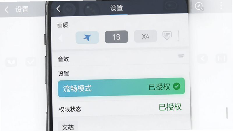 主体:手机端游戏设置界面截图,布局为竖屏,显示画质选择、音效设置、权限状态等选项,排版清晰,风格为现代化UI设计,细节包括高亮的“流畅模式”选项和绿色的“已授权”标识,画质清晰,干净,无多余元素,文字包含“设置”